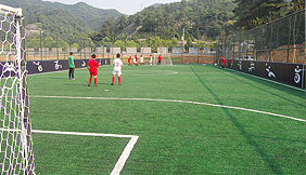 Hangzhou National Games of Disabled Persons Artificial turf football field