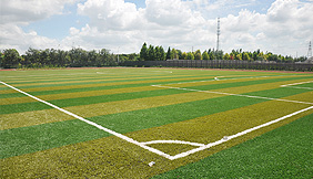 Shanghai Jiading Zhu Qiao primary school artificial turf