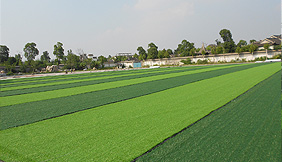 Sixian second primary school football field