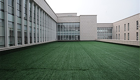 Tianjin animation garden roof lawn decoration